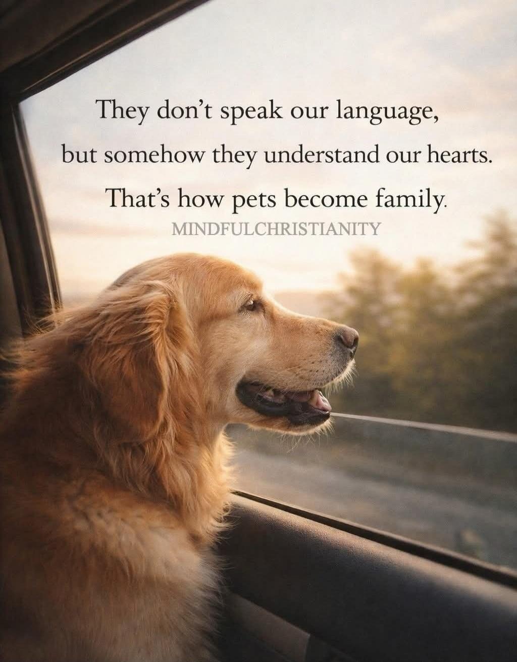 They don't speak our language, but somehow they understand our hearts. That's how pets become family. MINDFULCHRISTIANITY