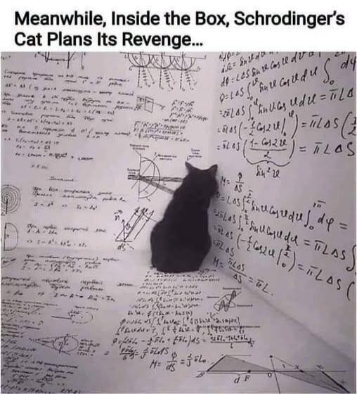 Meanwhile, Inside the Box, Schrodinger's Cat Plans Its Revenge...