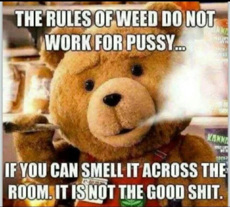 THE RULES OF WEED DO NOT WORK FOR PUSSY... IF YOU CAN SMELL IT ACROSS THE ROOM. IT IS NOT THE GOOD SHIT.