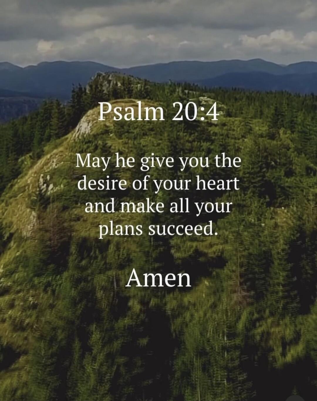 Psalm 20:4 May he give you the desire of your heart and make all your plans succeed. Amen