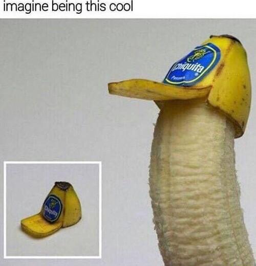 Imagine being this cool