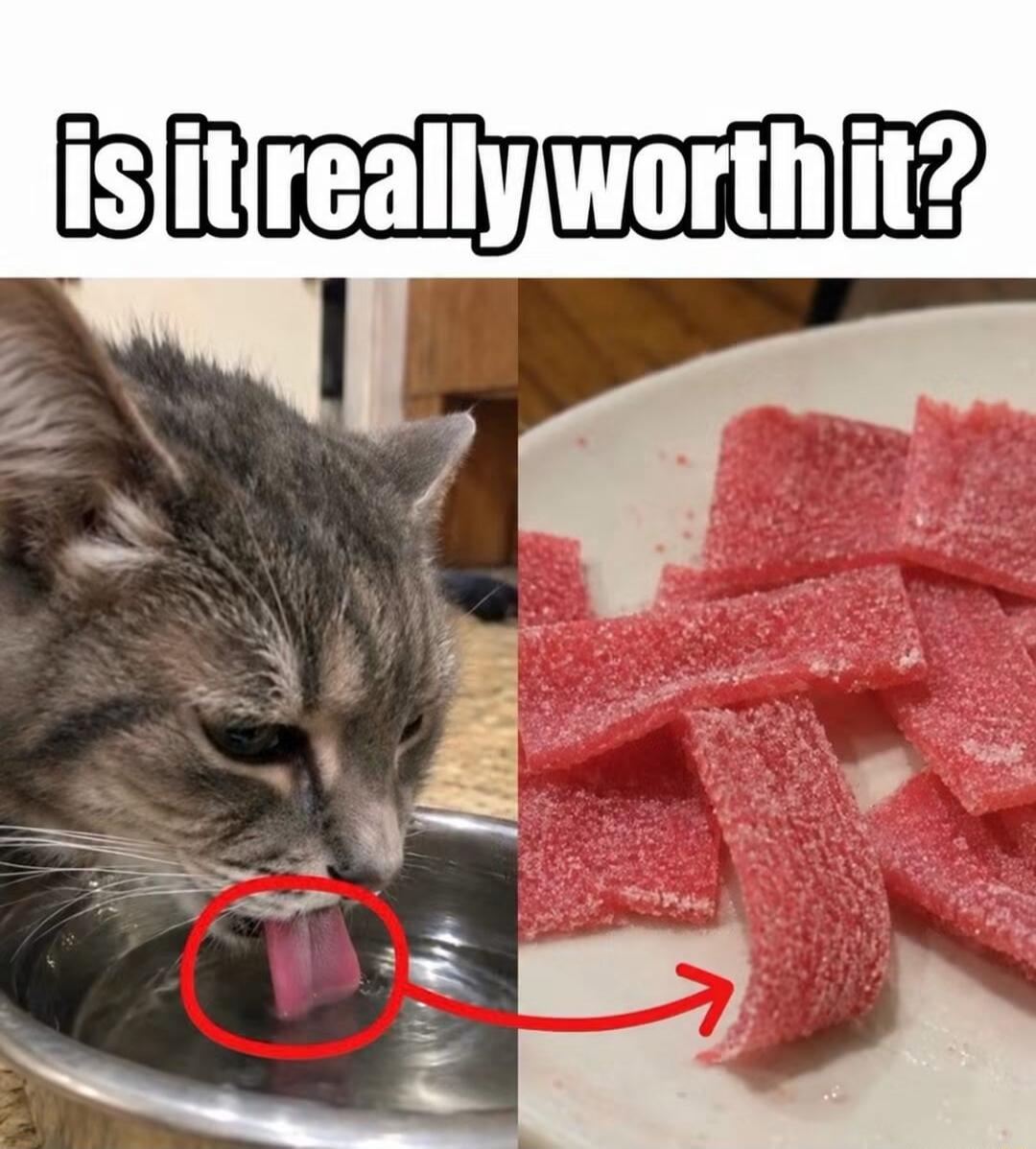 is it really worth it?