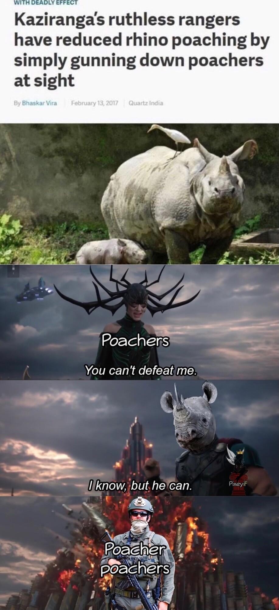 Kaznrangas ruthless rangers have reduced rhino poaching by simply gunning down poachers at sight Poachers You cant defeat me A know bu hecan s mie y poachers h