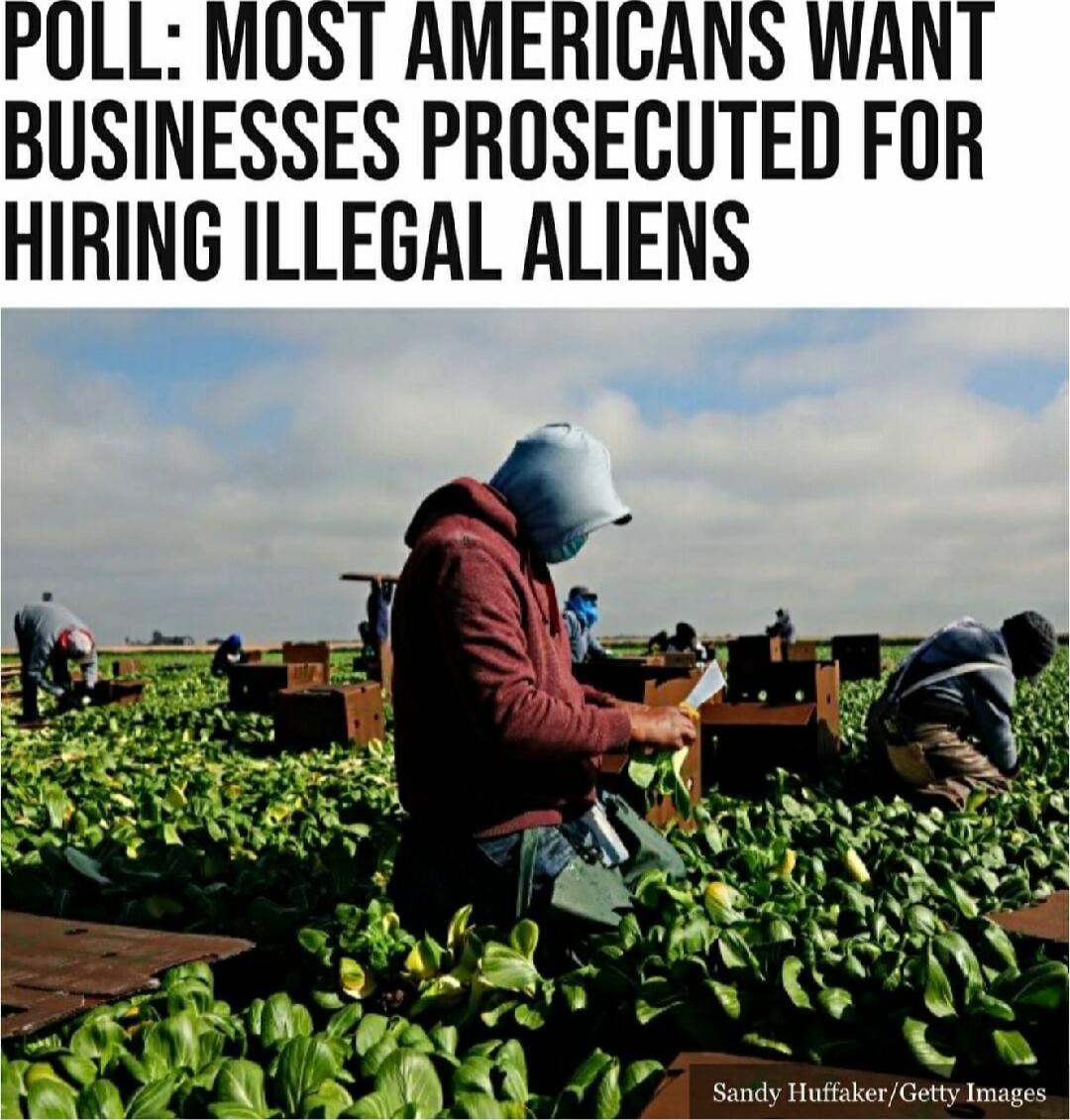 POLL MOST AMERIGANS WANT BUSINESSES PROSECUTED FOR HIRING ILLEGAL ALIENS