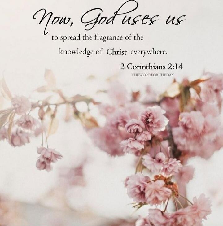 Now, God uses us to spread the fragrance of the knowledge of Christ everywhere. 2 Corinthians 2:14