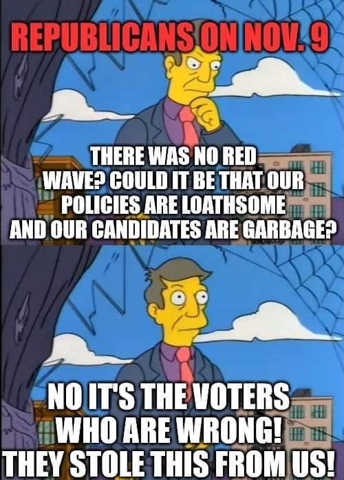 REPUBLICANSIONNOV29 ot THEREWAS NO RED 5 WAVES COULD IT BETHAT OUR POLIGIES ARE LORTHSOME AND OUR CANDIDATES ARE GARBAGED NOITS THEVOTERS WHO ARE WRONG THEY STOLETHIS FROMUS