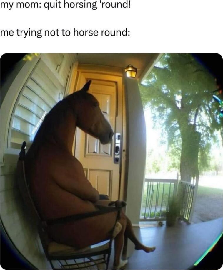 my mom quit horsing me trying not to horse round