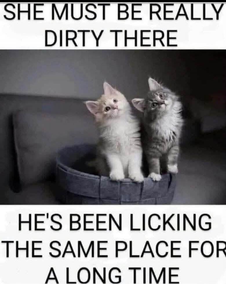 SHE MUST BE REALLY DIRTY THERE HE'S BEEN LICKING THE SAME PLACE FOR A LONG TIME