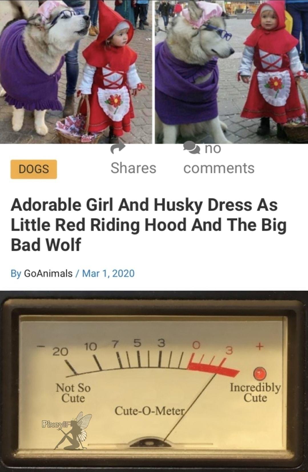 Shares comments Adorable Girl And Husky Dress As Little Red Riding Hood And The Big Bad Wolf By GoAnimals Mar 1 2020 Pixe