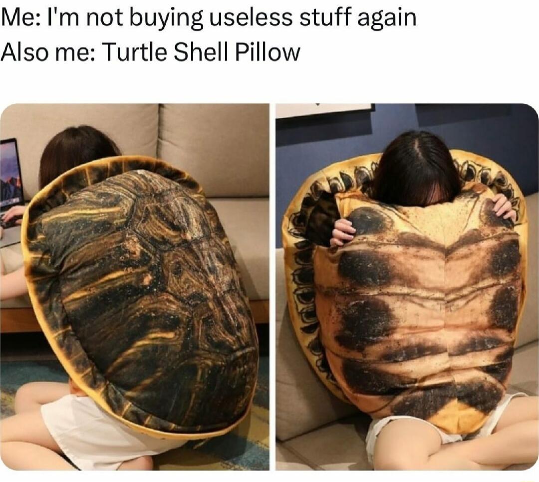 Me Im not buying useless stuff again Also me Turtle Shell Pillow