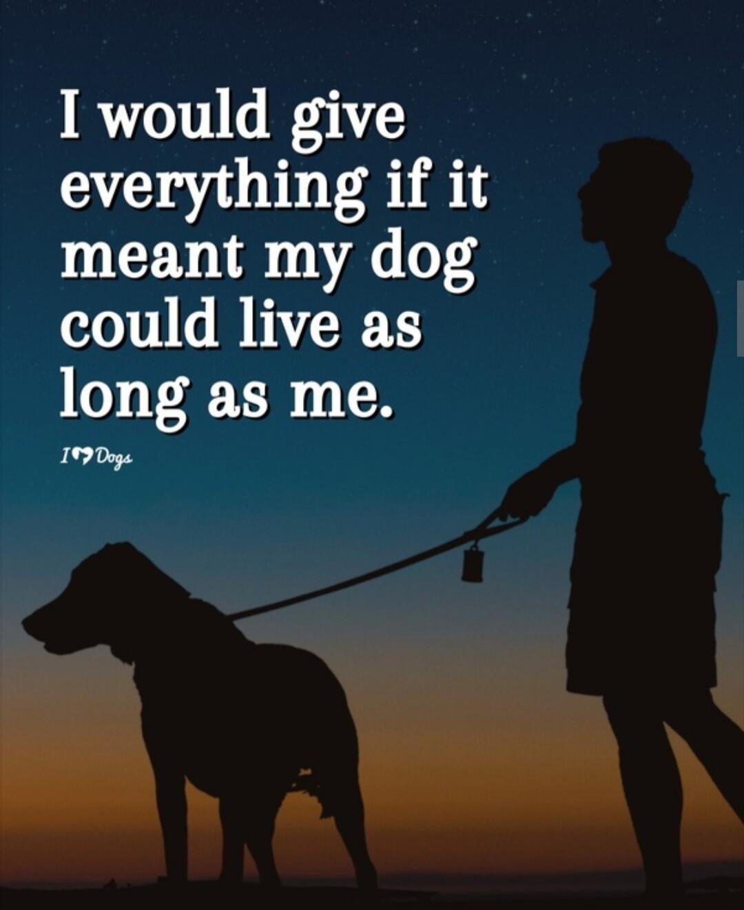 I would give everything if it meant my dog could live as long as me. I❤️Dogs