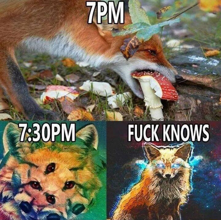 7 30PM FUCKKNOWS