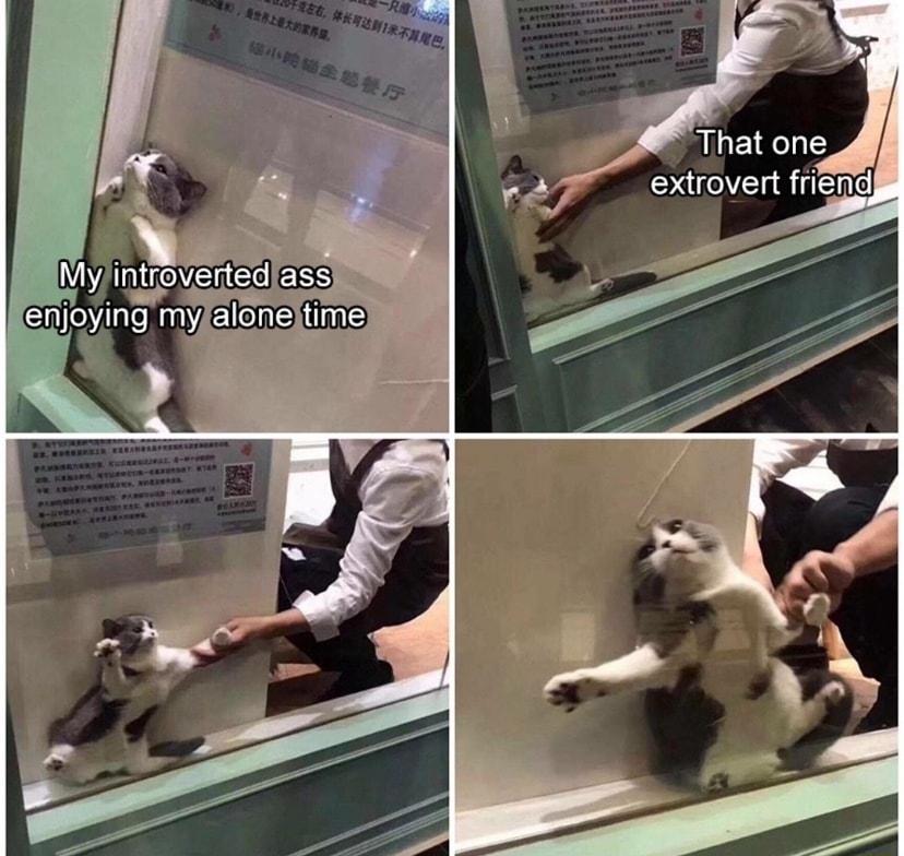 That one extrovert frien My n tsover1ed enjoylng my el e