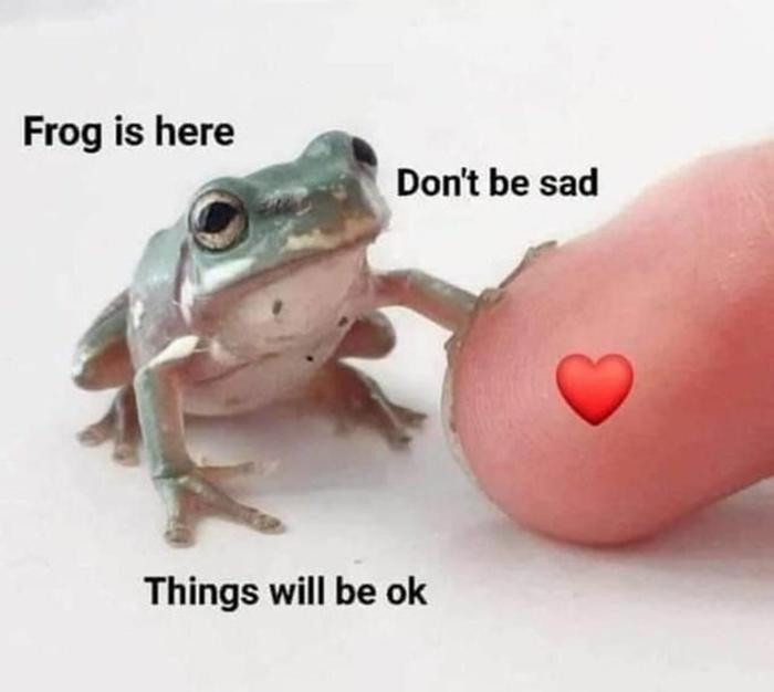 Frog is here 2 Dont be sad Things will be ok