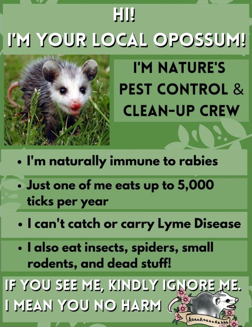 I OURNO AL 55 TMNATURES 4 PEST CONTROL M CLEAN UP CREW Im naturally immune to rabies Just one of me eats up to 5000 ticks per year cant catch or carry Lyme Disease also eat insects spiders small rodents and dead stuff IEYOUISEEIMERKIND LY JJQJJ IIMEANNYOUINORTARN