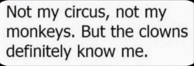 o Not my circus not my monkeys But the clowns definitely know me 4