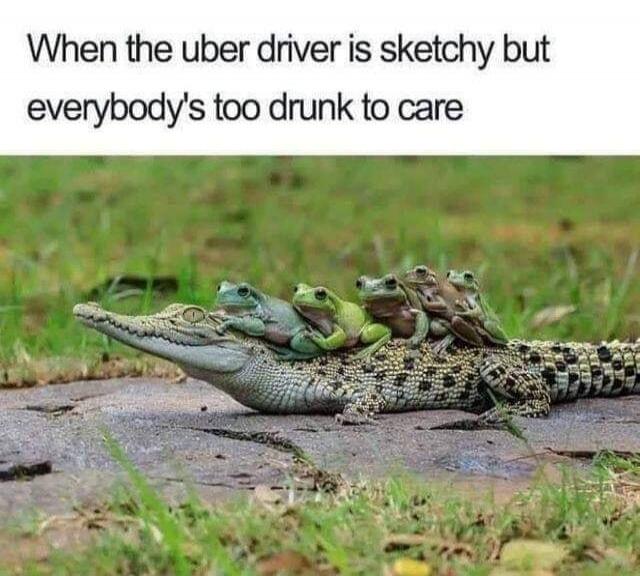 When the uber driver is sketchy but everybody's too drunk to care