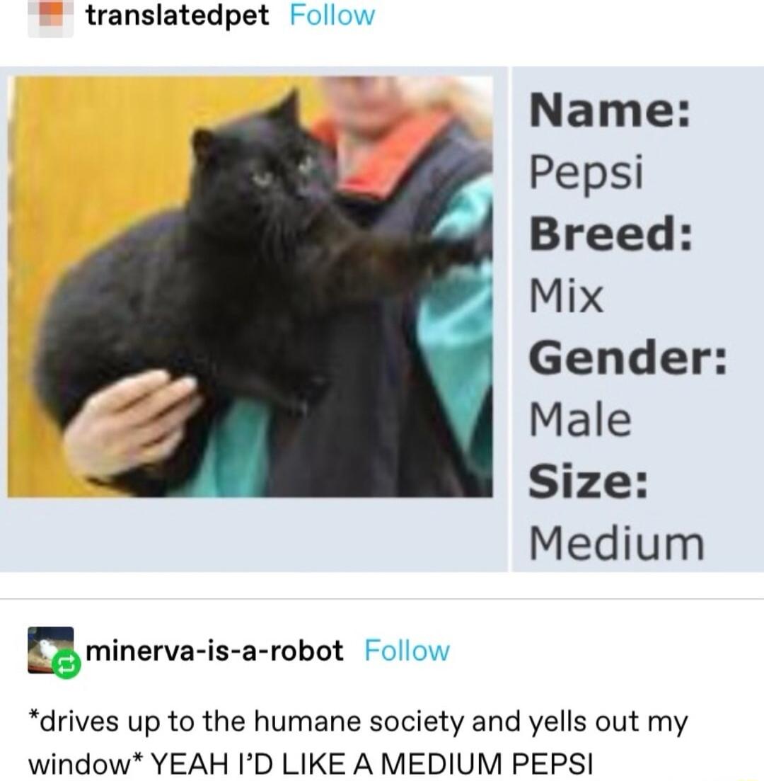 translatedpet Follow Name Pepsi Breed Mix Gender Male Size Medium R minervaris a robot Follow drives up to the humane society and yells out my window YEAH ID LIKE A MEDIUM PEPSI