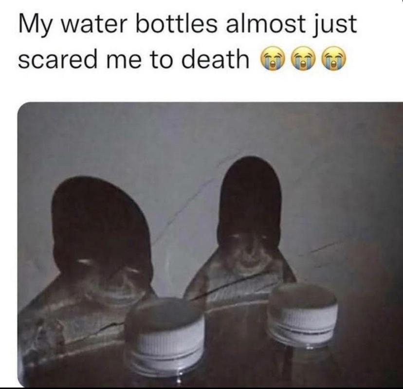 My water bottles almost just scared me to death Mk