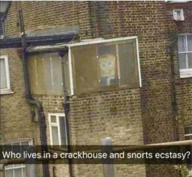 Who lives in a crackhouse and snorts ecstasy o BT B oo i Y