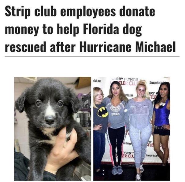 Strip club employees donate money to help Florida dog rescued after Hurricane Michael