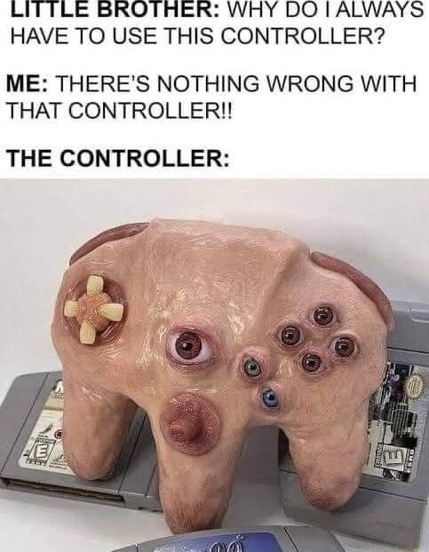 LITTLE BROTRER WHY DO ALWAYS HAVE TO USE THIS CONTROLLER ME THERES NOTHING WRONG WITH THAT CONTROLLER THE CONTROLLER