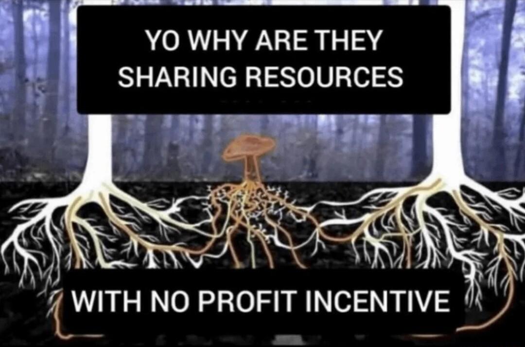 YO WHY ARE THEY SHARING RESOURCES WITH NO PROFIT INCENTIVE
