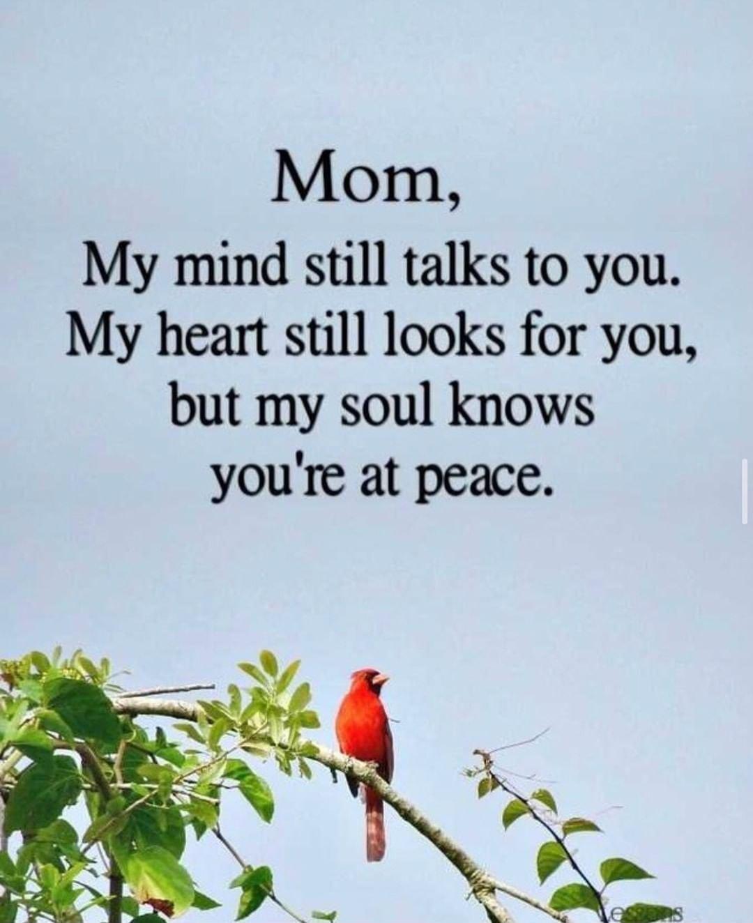 Mom My mind still talks to you My heart still looks for you but my soul knows youre at peace