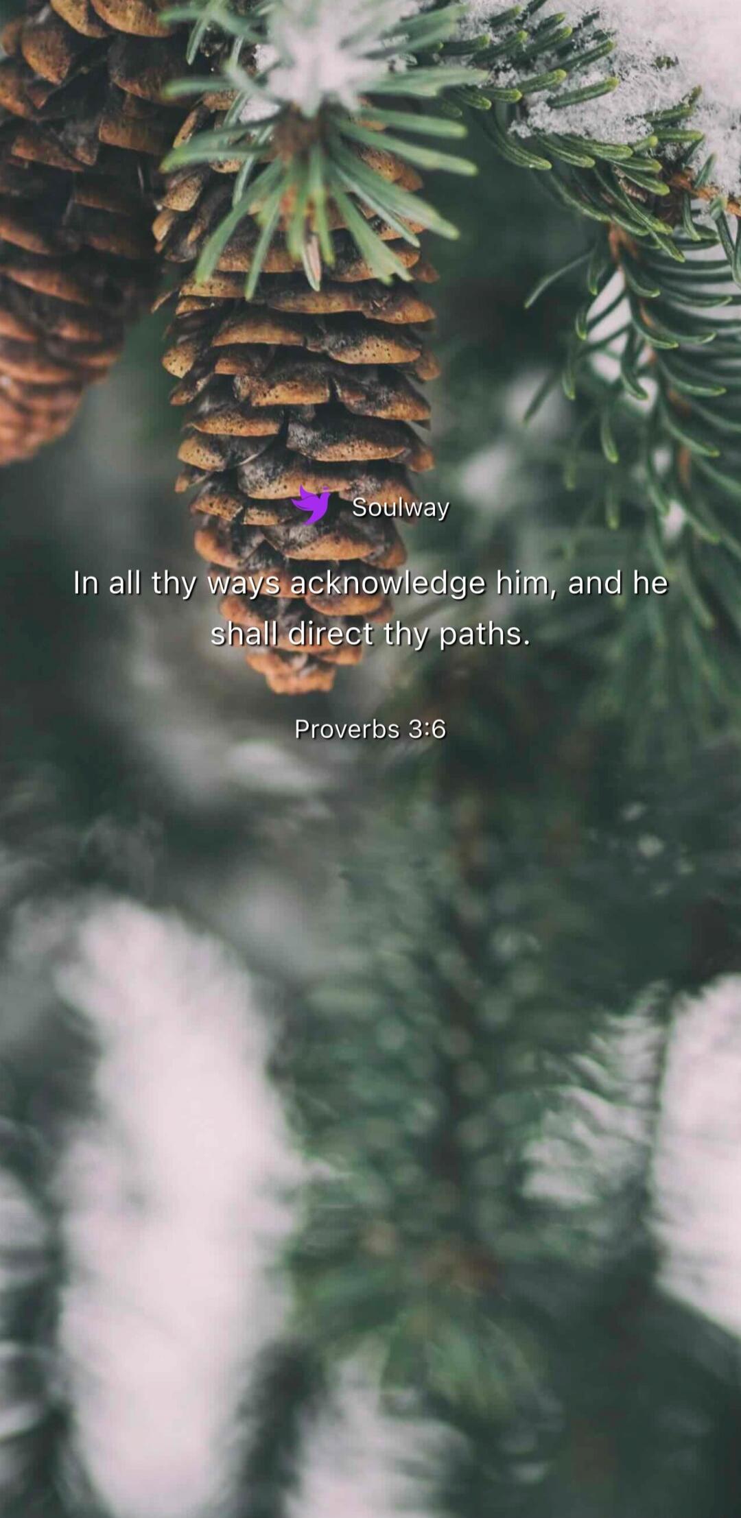 Soulway In all thy ways acknowledge him, and he shall direct thy paths. Proverbs 3:6