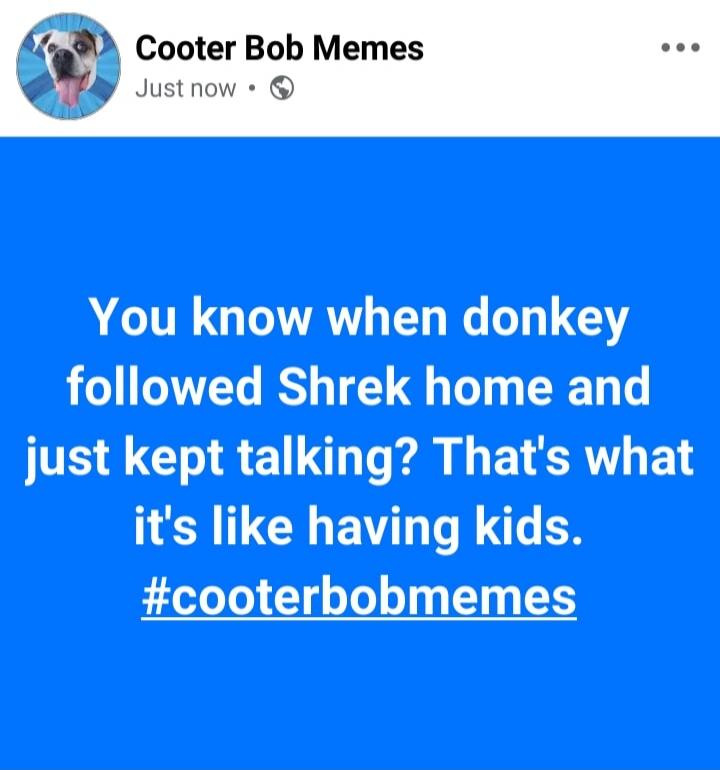 You know when donkey followed Shrek home and just kept talking? That's what it's like having kids. #cooterbobmemes