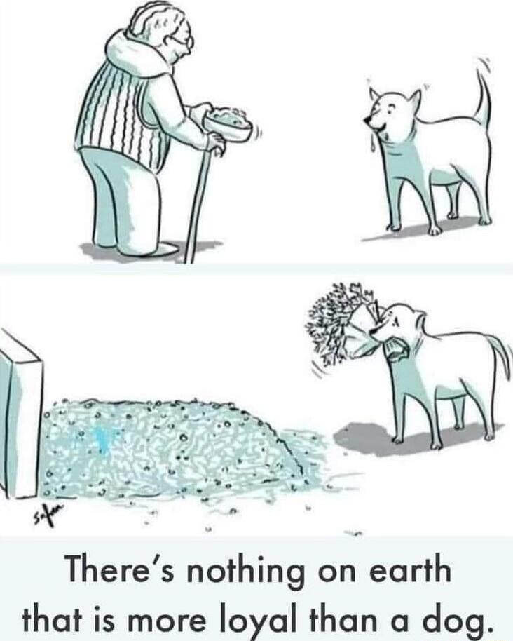 Theres nothing on earth that is more loyal than a dog