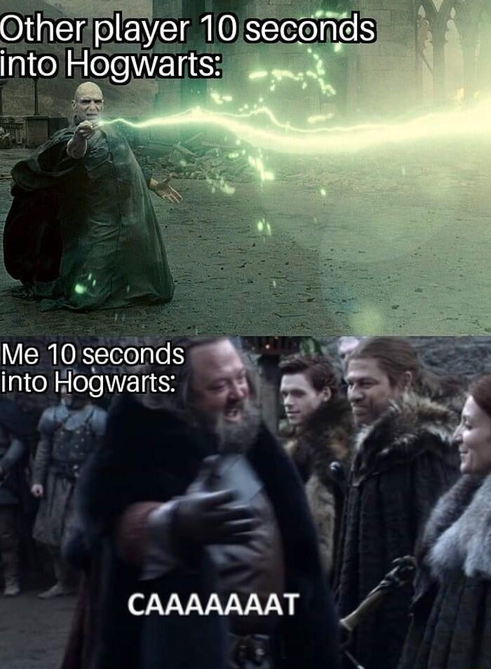 er yerIOseconds Me 10 seconds into Hogwarts