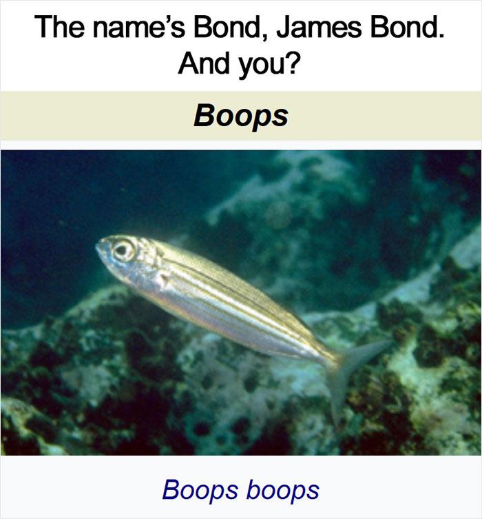 The names Bond James Bond And you Boops boops