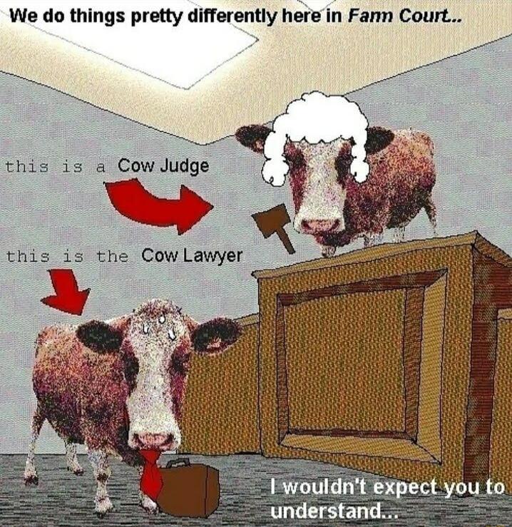 We do things pretty differently here in Fann Court Fwouldnt exp c ynu understand