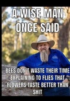 A WISE MAN ONCE SAID BEES DON'T WASTE THEIR TIME EXPLAINING TO FLIES THAT FLOWERS TASTE BETTER THAN SHIT