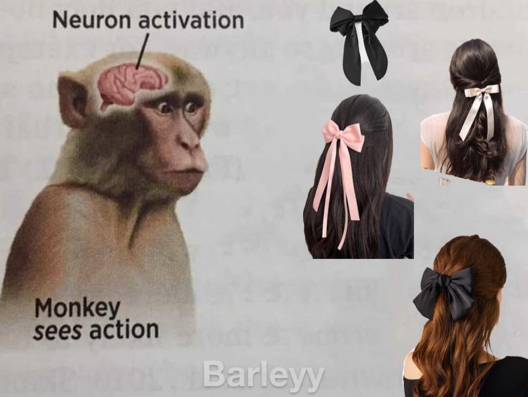 Neuron activation lonkey sees action