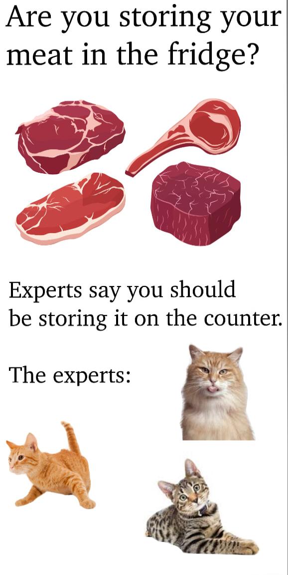 Are you storing your meat in the fridge Experts say you should be storing it on the counter The experts