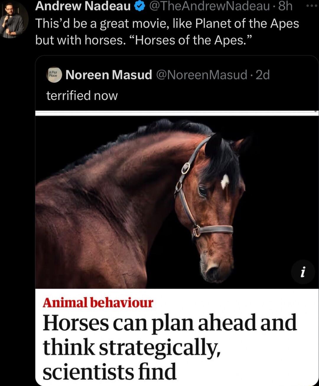 LU ELEE TR Thisd be a great movie like Planet of the Apes but with horses Horses of the Apes Noreen Masud terrified now Animal behaviour Horses can plan ahead and think strategically scientists find