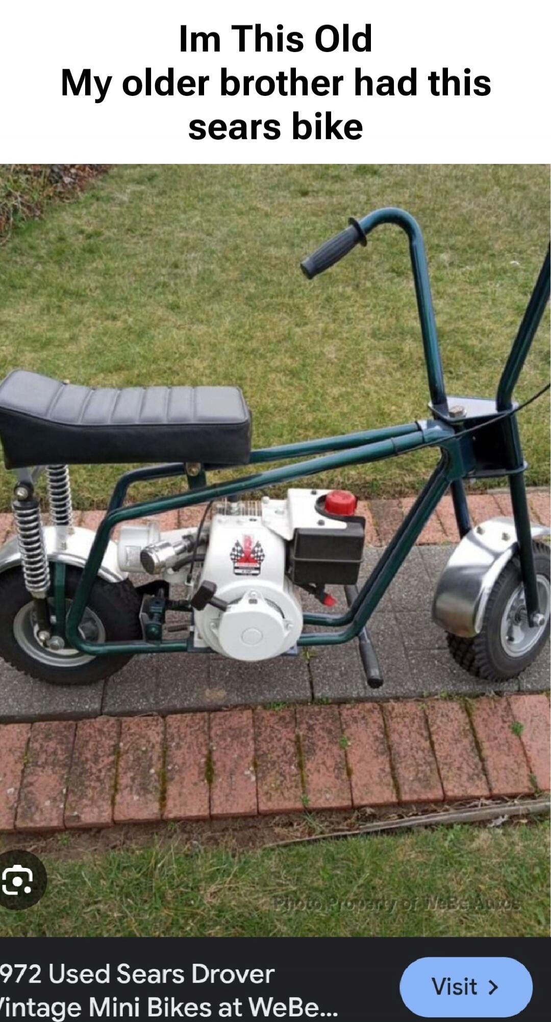 Im This Old My older brother had this sears bike