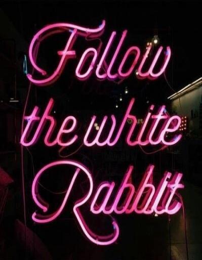 Follow the white Rabbit