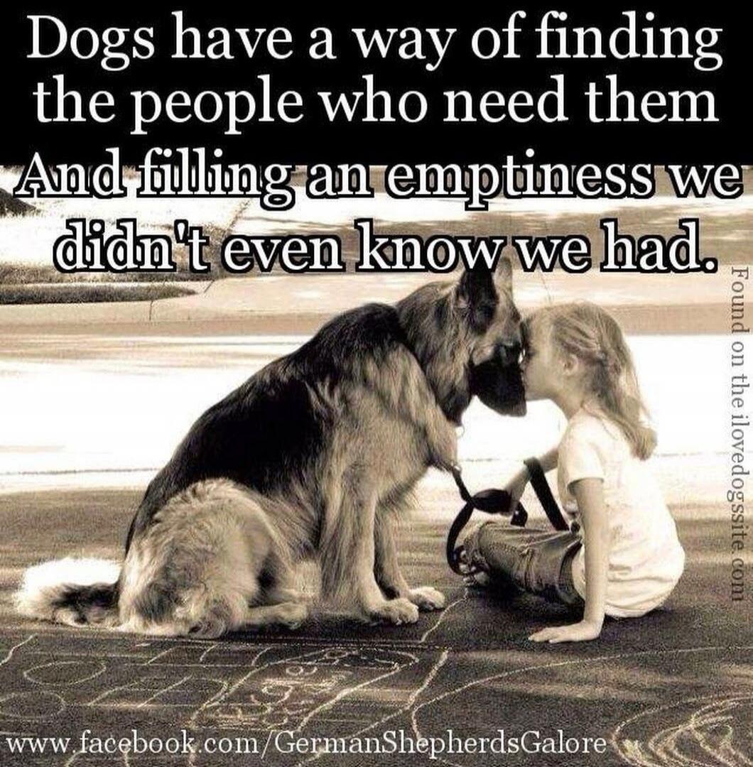 Dogs have a way of finding the people who need them And filling an emptiness we didn't even know we had.