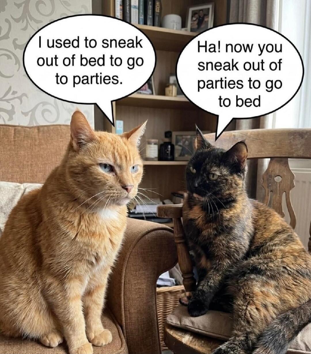 I used to sneak out of bed to go to parties. Ha! now you sneak out of parties to go to bed