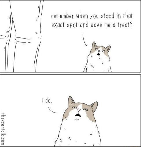 remember when you stood in that exact spot and gave me a treat WOYYpyupI4ayy