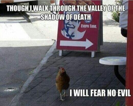 THOUGH I WALK THROUGH THE VALLEY OF THE SHADOW OF DEATH I WILL FEAR NO EVIL Every Time.