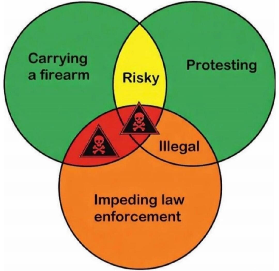 Carrying a firearm
Protesting
Risky
Illegal
Impeding law enforcement