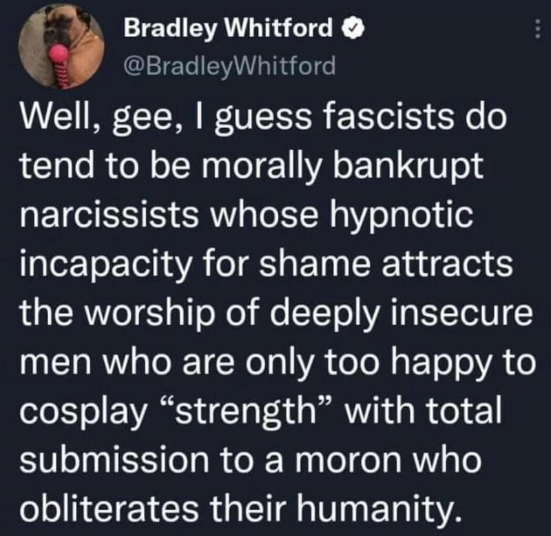 Bradley Whitford E BradleyWhitford Well gee guess fascists do LTl RToN o TNy o 1 WA o ETa N 013 narcissists whose hypnotic incapacity for shame attracts LRV g T oXo ilfe TTol VAT ISYToIN men who are only too happy to cosplay strength with total submission to a moron who obliterates their humanity