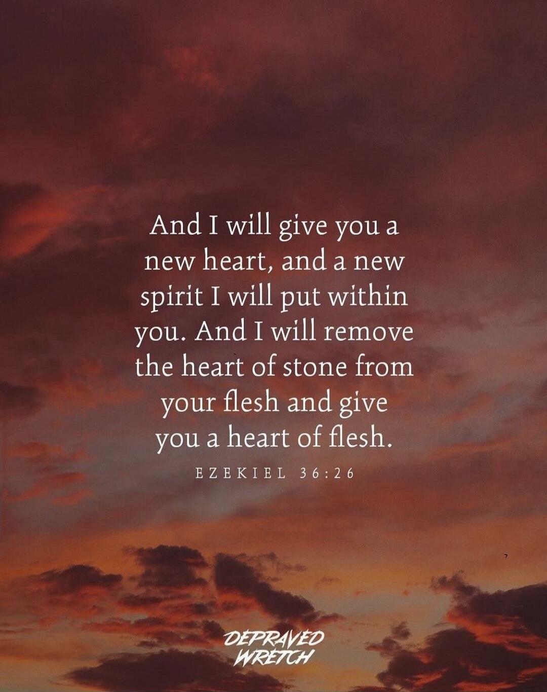 And I will give you a new heart, and a new spirit I will put within you. And I will remove the heart of stone from your flesh and give you a heart of flesh.
EZEKIEL 36:26