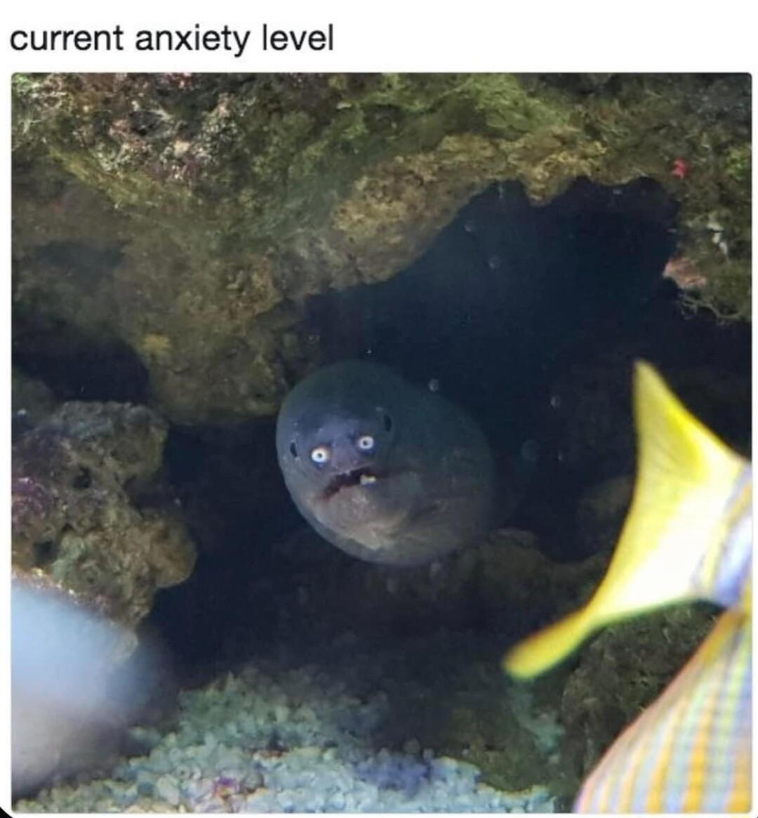 current anxiety level