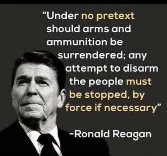 Under no pretext should arms and ammunition be surrendered any attempt to disarm the people must be stopped by force if necessary RUCHEICRETR T