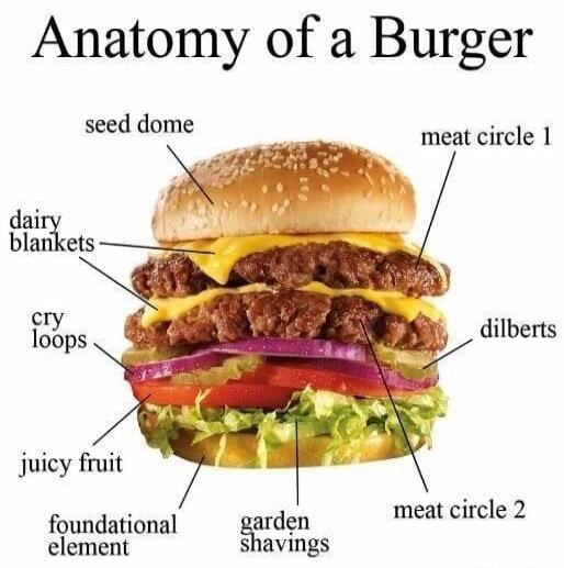 Anatomy of a Burger. seed dome, meat circle 1, dairy blankets, cry loops, dilberts, juicy fruit, garden shavings, meat circle 2, foundational element.